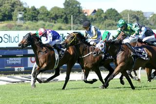Princess Kereru (NZ) has emerged as a top-class sprinter after claiming the Group 3 Waikato Stud Plate.